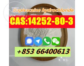 Factory Supply High Quality CAS 14252-80-3 Bupivacaine hydrochloride