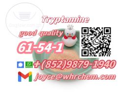 factory supply high quality Tryptamine Cas 61-54-1