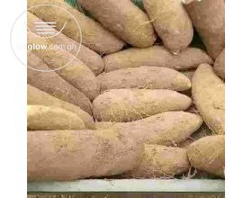 Fresh Yams Pona