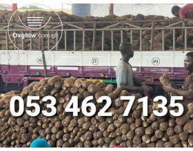 Fresh Yams Pona