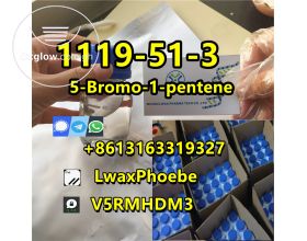 Good price 5BP Cas 1119-51-3 5-Bromo-1-pentene