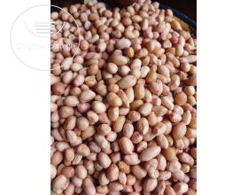 Groundnut