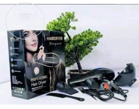 Hair dryer