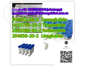 High Quality 99% Price Liraglutide Powder CAS 204656-20-2
