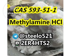 Hot in EU Methylamine hcl cas 593-51-1 t