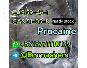 Hot sell CAS 59-46-1 procaine ready stock safe delivery whatsapp:+8618771110139
