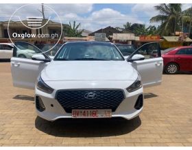 Hyundai Elantra GT Sports.