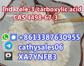 Indazole-3-carboxylic Acid CAS 4498-67-3 hot sales