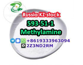 KZ Kazakhstan methylamine hydrochloride 593-51-1
