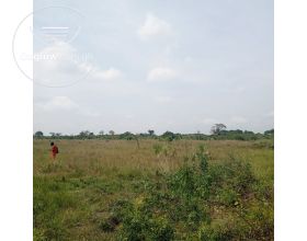 Land At Shai Hills/Afienya For Sale