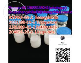 Linagliptin Purity Degree 99% CAS No. 204656-20-2