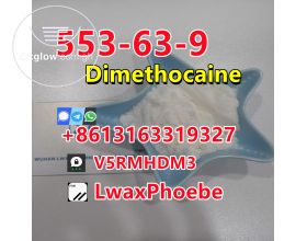 Local anesthetic powder Dimethocaine Base 553-63-9