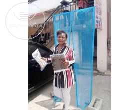 Magnetic Door Mesh