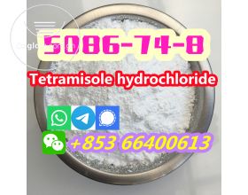 Manufacturers Direct 99% Pure CAS 5086-74-8 Tetramisole hydrochloride