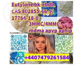 mdma Eutylone bk-ebdb CAS 802855-66-9/17764-18-0