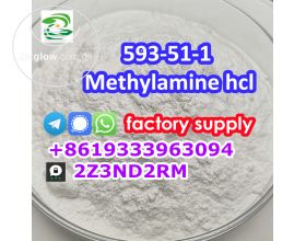 methylamine hydrochloride cas 593-51-1 with fast delivery