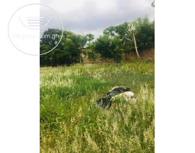 More than 1 plot (80*125) of Titled Land for sale at Madina Local Government Area, Near UPSA.