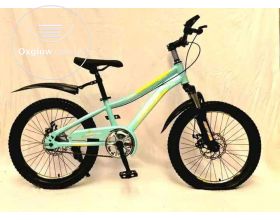 Mountain bicycle