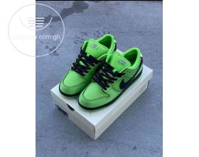 Nike sneaker