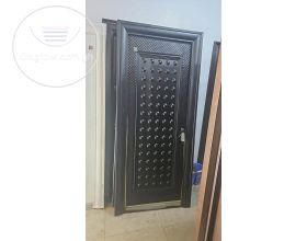 Paladin security door 
