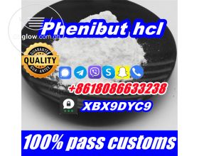 Phenibut hcl,Phenibut raw China factory wholesale