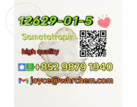 Popular safe and high quality Somatotropin cas 12629-01-5 safe delivery