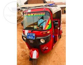 Pragya Tricycle