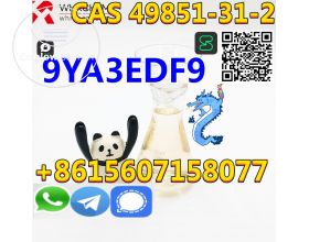 Professional Manufacture CAS 49851-31-2 2-Bromo-1-phenyl-pentan-1-one High Purity Favorable Price