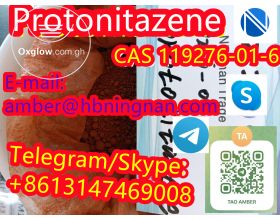 Protonitazene (hydrochloride) CAS 119276