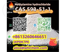 Sell Methylamine hydrochloride CAS 593-5