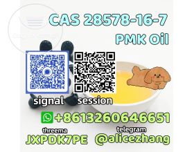 Sell PMK oil CAS 28578-16-7 high purity safe delivery telegram:@alicezhang