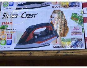 Steam iron
