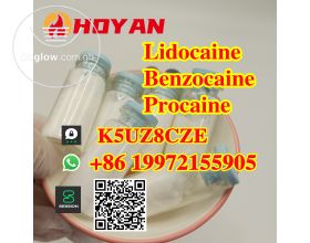 Supplier of lidocaine benzocaine procaine powder high quality