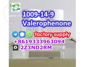 Valerophenone CAS 1009-14-9 Manufacturer