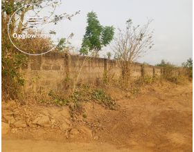 WALLED 20 PLOTS AT ASHALAJA AMASAMAN