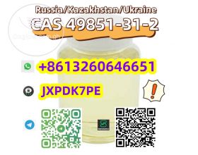 Wholesale Experienced supplier CAS 49851