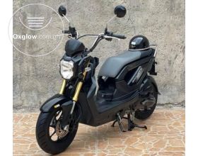 Zoomer bike