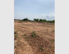 LITIGATION FREE LANDS FOR SALE AT APOLONIA CITY ESTATES