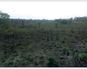 Farming land for sale
