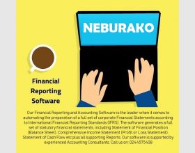 Financial Statement Preparation Software/Financial Reporting Software