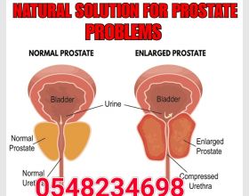 Prostate Health