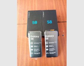 Samsung galaxy S8