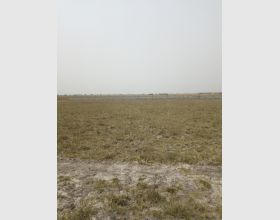 affordable estate plots@ new airport residential