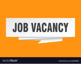 Job Vacancy for Executive Assistant 