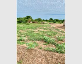 Remarkable Property for sale @ Dawa