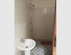 Single Room for rent at Tesano