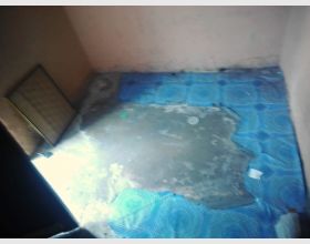 Single Room for rent