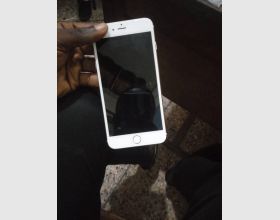 iPhone 6 and 6 Plus
