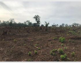 6 Acres of Land the sale