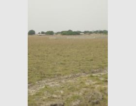 Titled plots